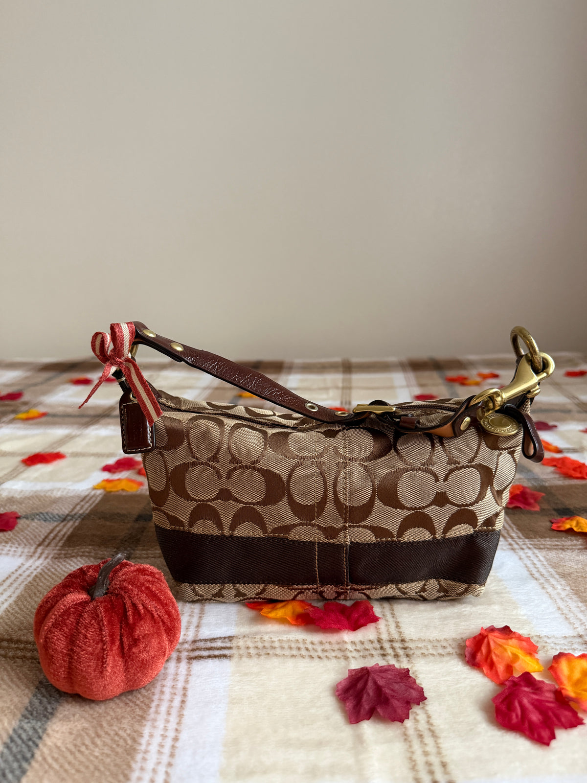Vintage Coach Signature Canvas Mini Hobo Handbag