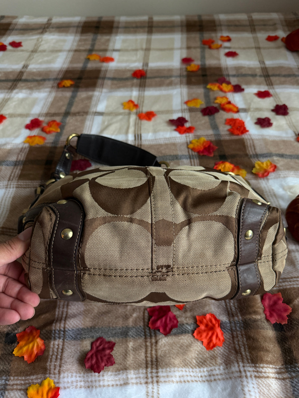 Coach Signature Canvas Carly Hobo Shoulder Bag