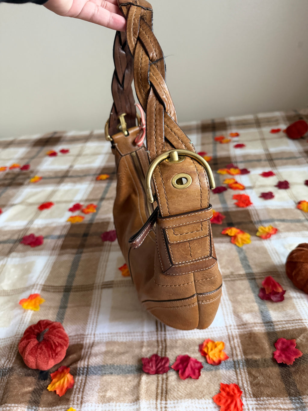 Coach SoHo Hobo Shoulder Bag