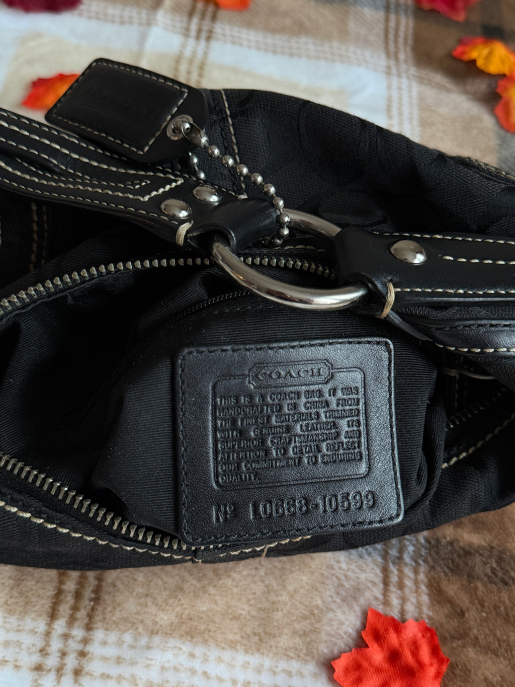 Coach Soho Hobo Signature Canvas Small Shoulder Bag