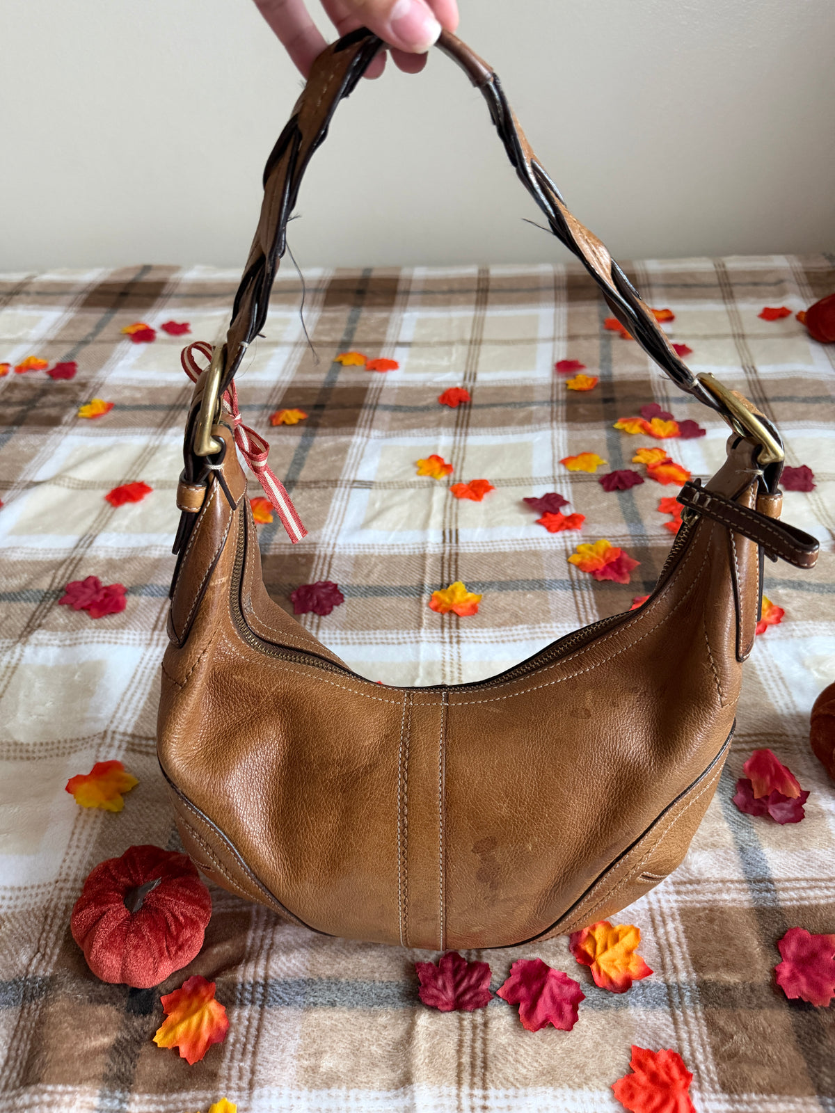 Coach SoHo Hobo Shoulder Bag