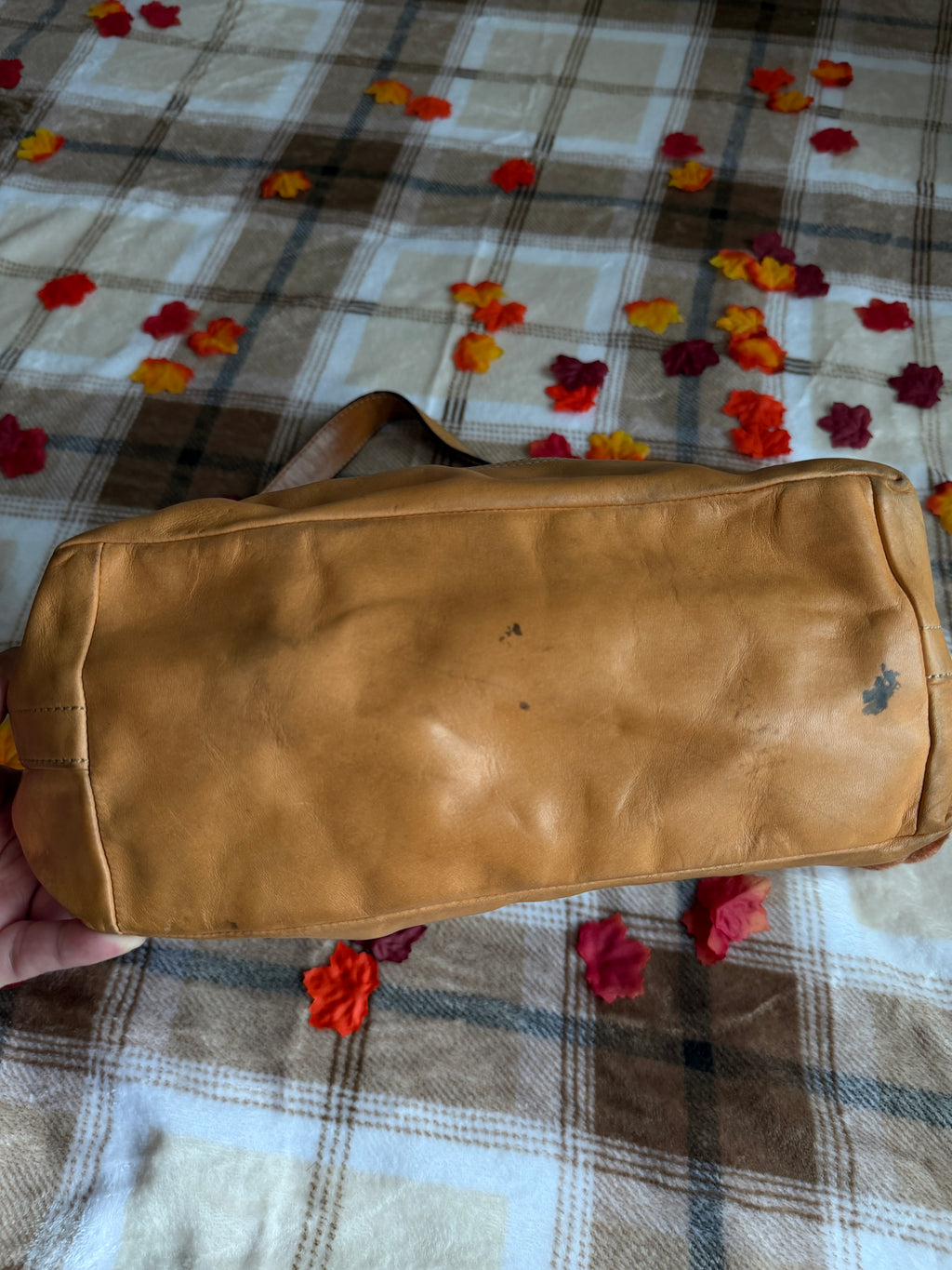 Coach Signature Canvas Hobo Bag