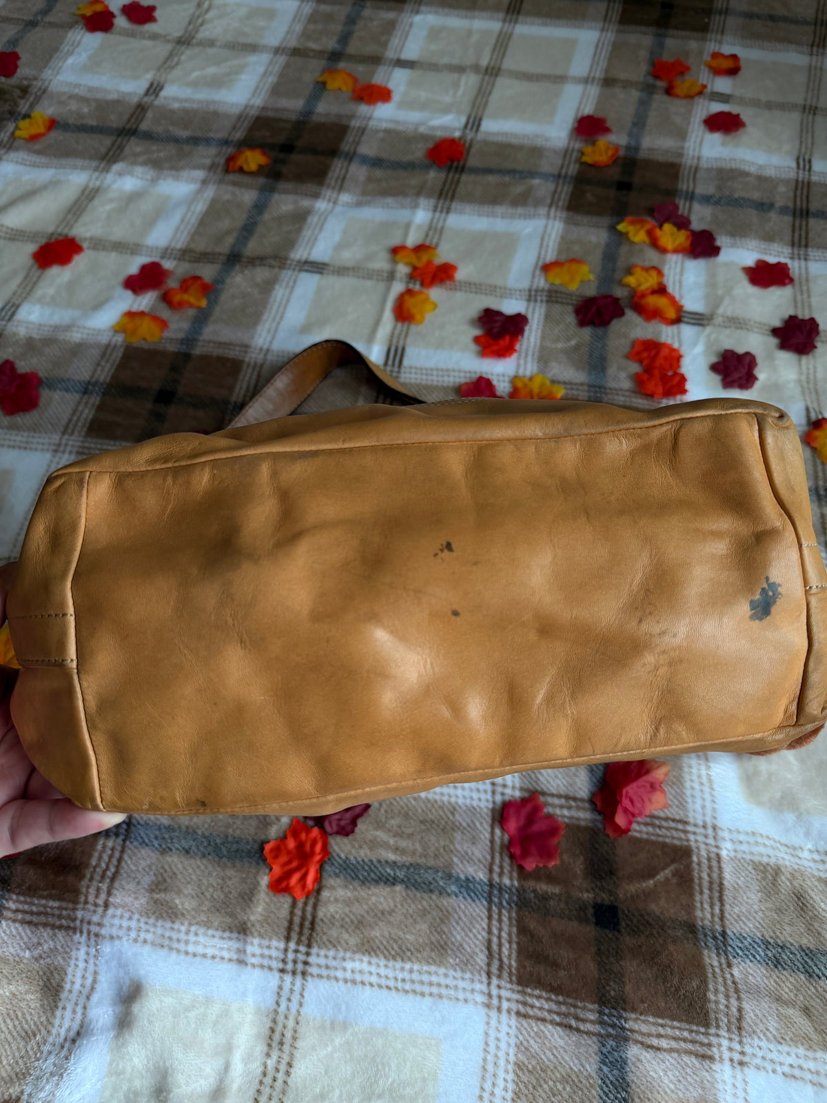 Coach Signature Canvas Hobo Bag