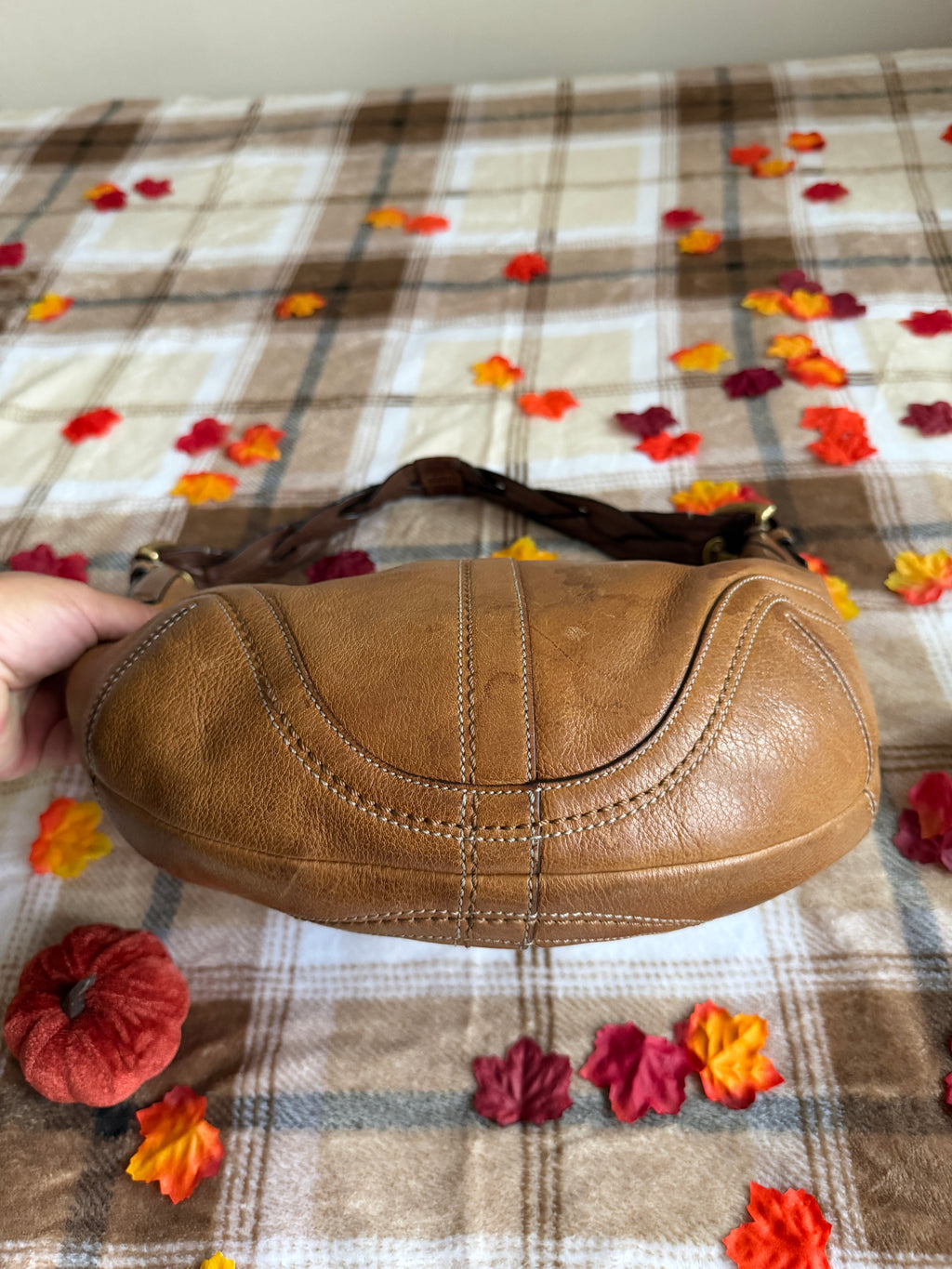 Coach SoHo Hobo Shoulder Bag