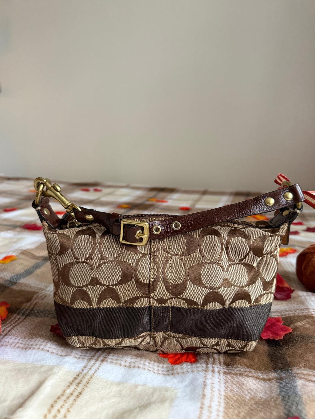 Vintage Coach Signature Canvas Mini Hobo Handbag