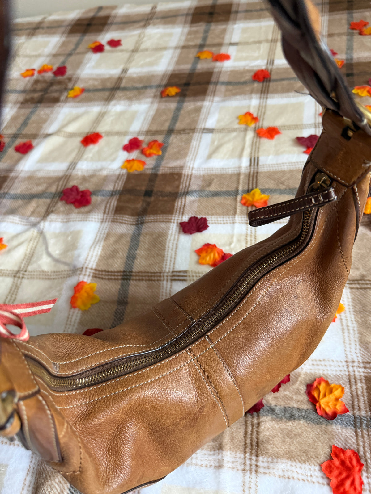 Coach SoHo Hobo Shoulder Bag