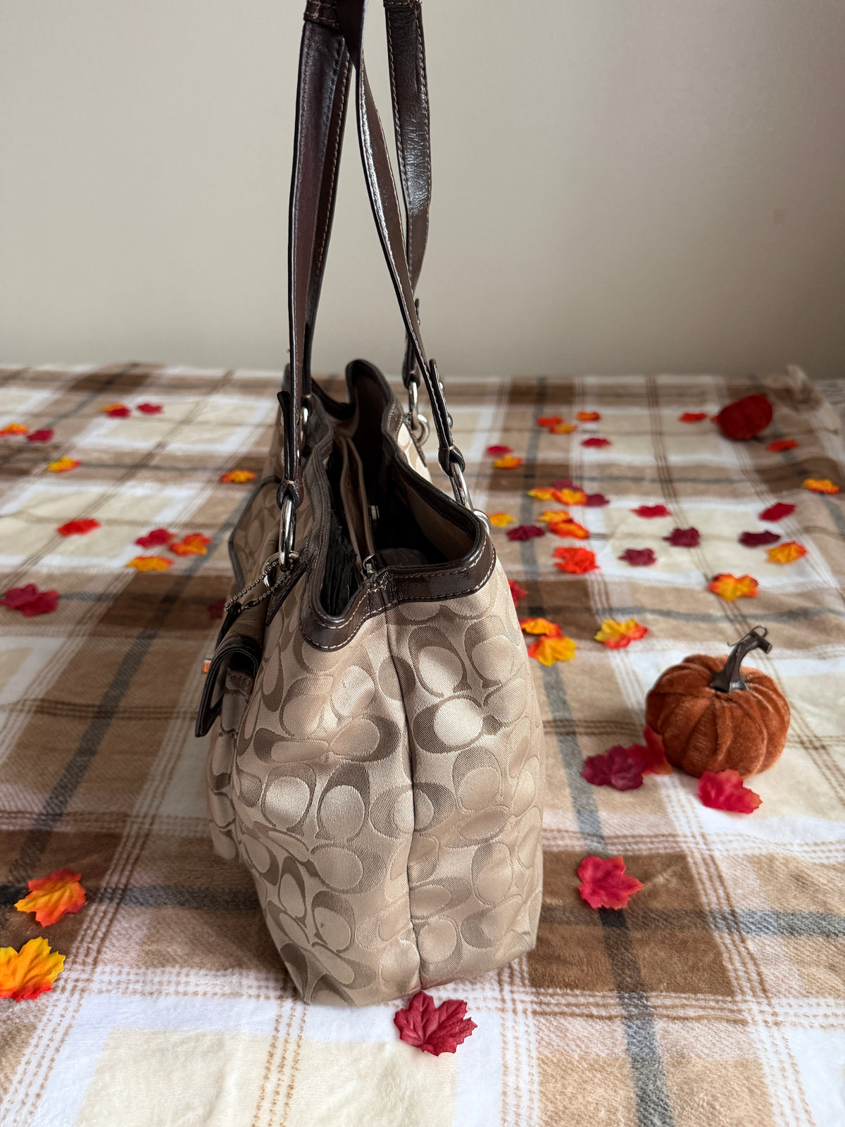 Coach Penelope Signature Canvas Shoulder Bag