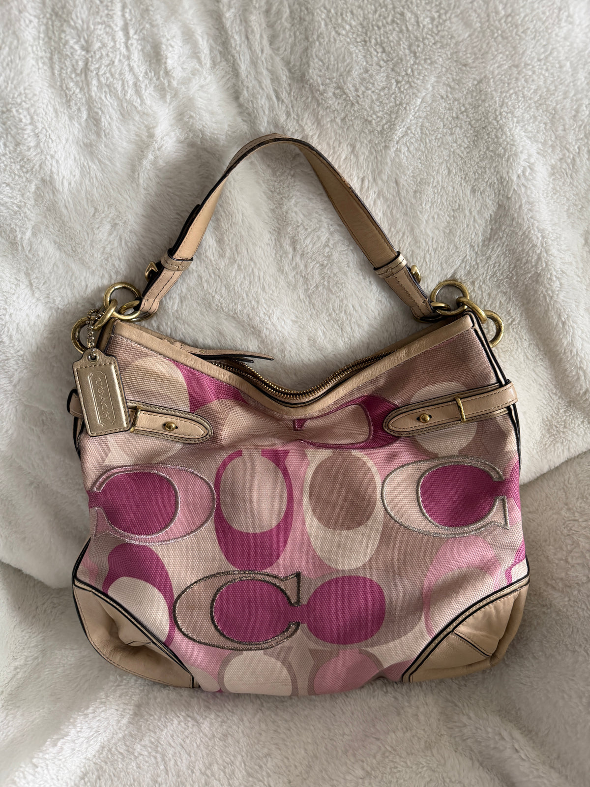 Coach Colette Hobo Signature Shoulder Bag
