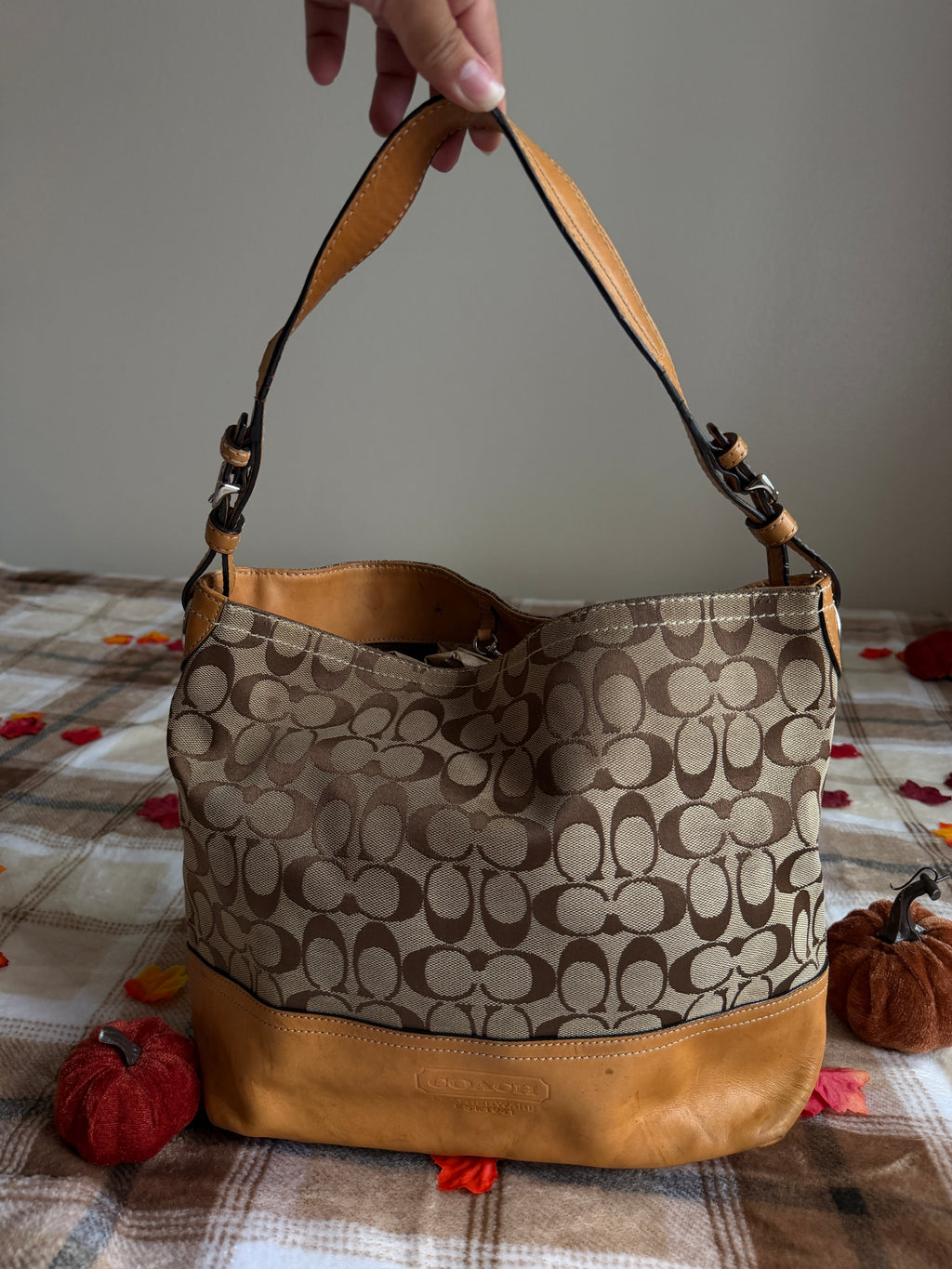 Coach Signature Canvas Hobo Bag