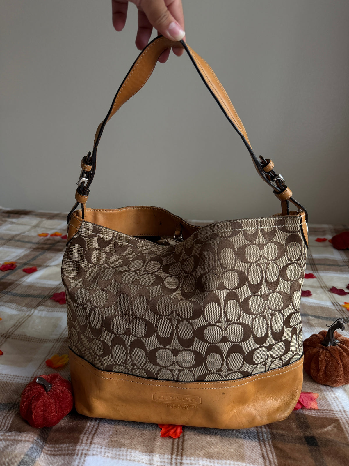 Coach Signature Canvas Hobo Bag