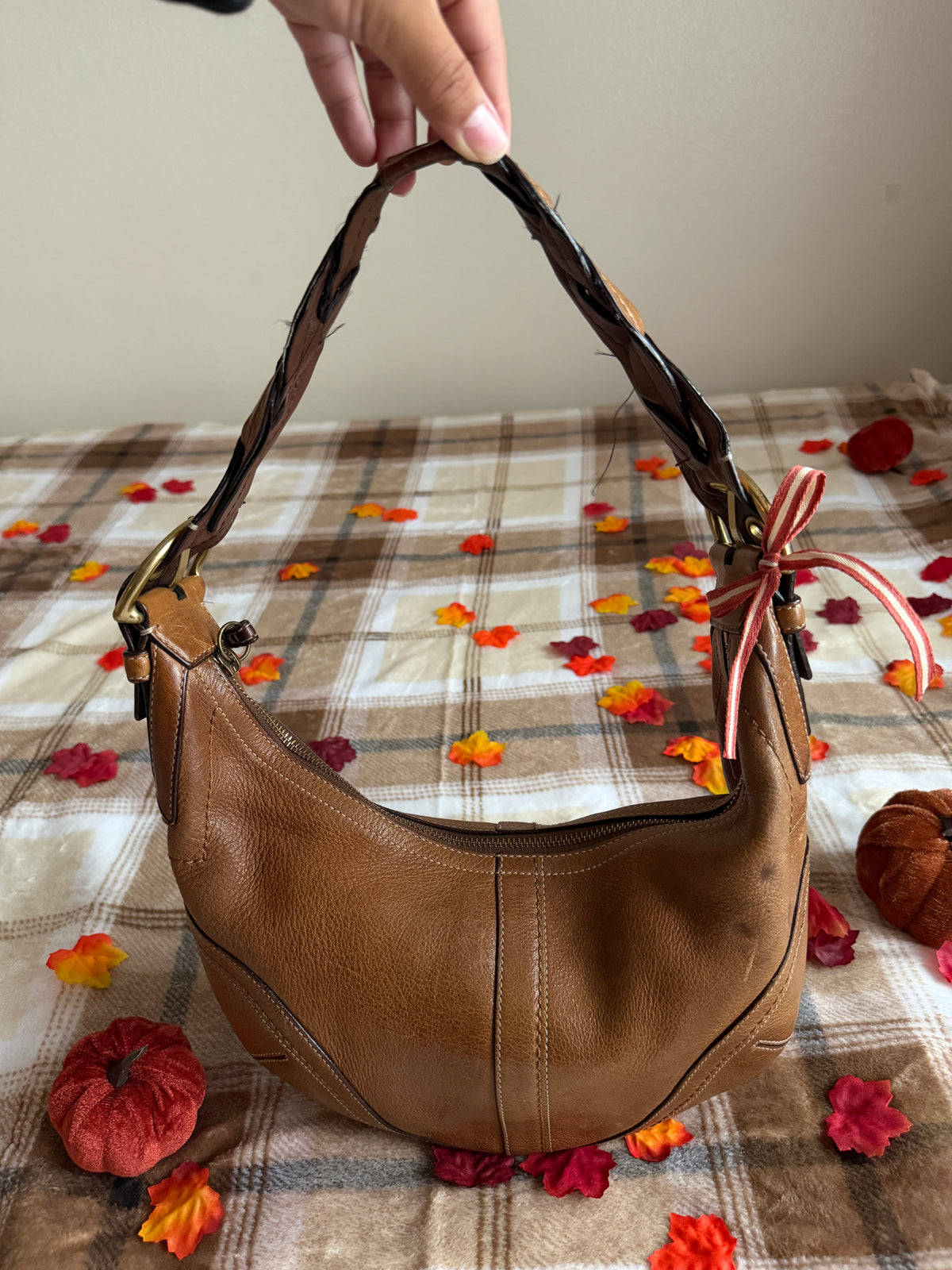 Coach SoHo Hobo Shoulder Bag