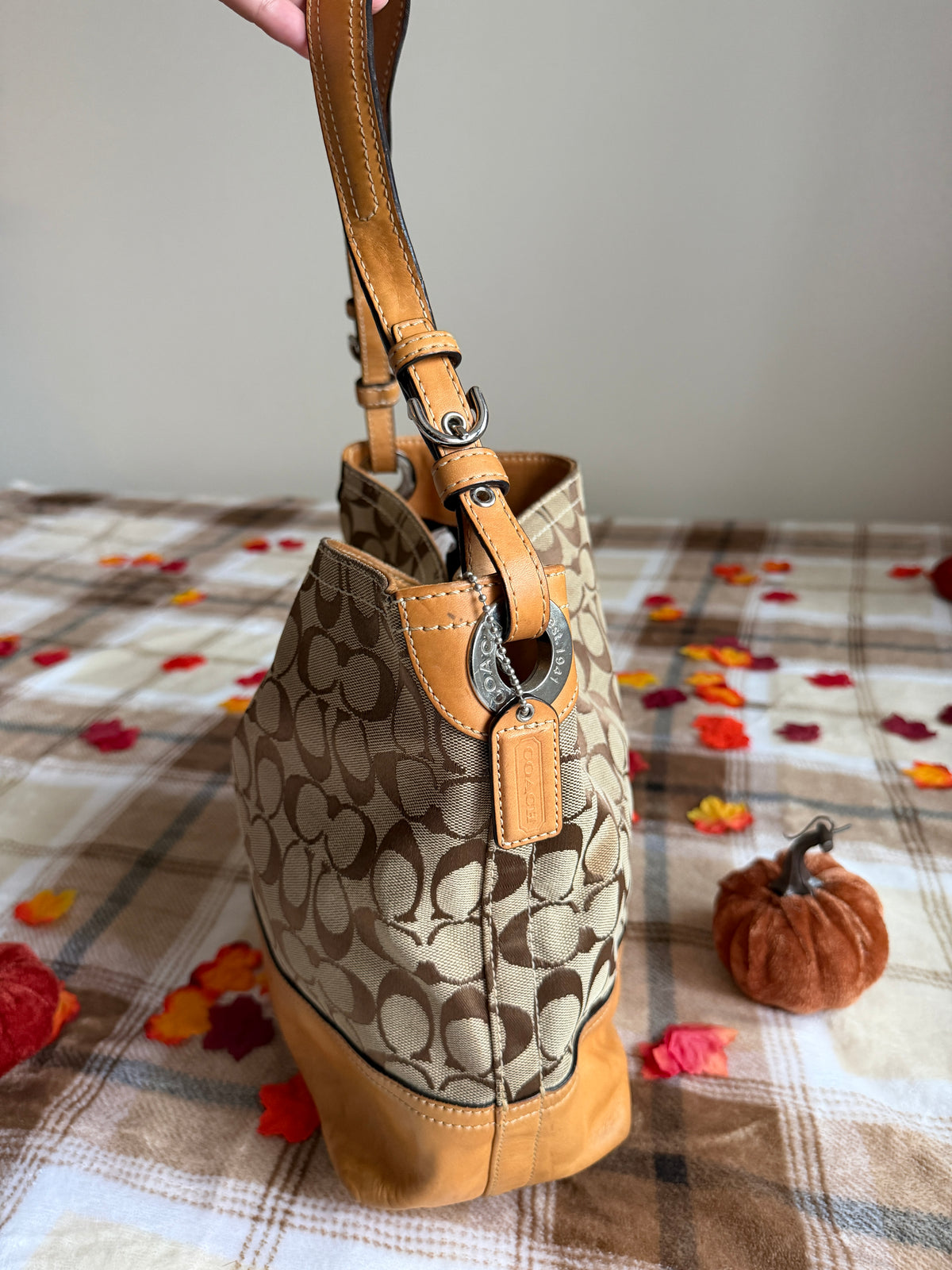 Coach Signature Canvas Hobo Bag