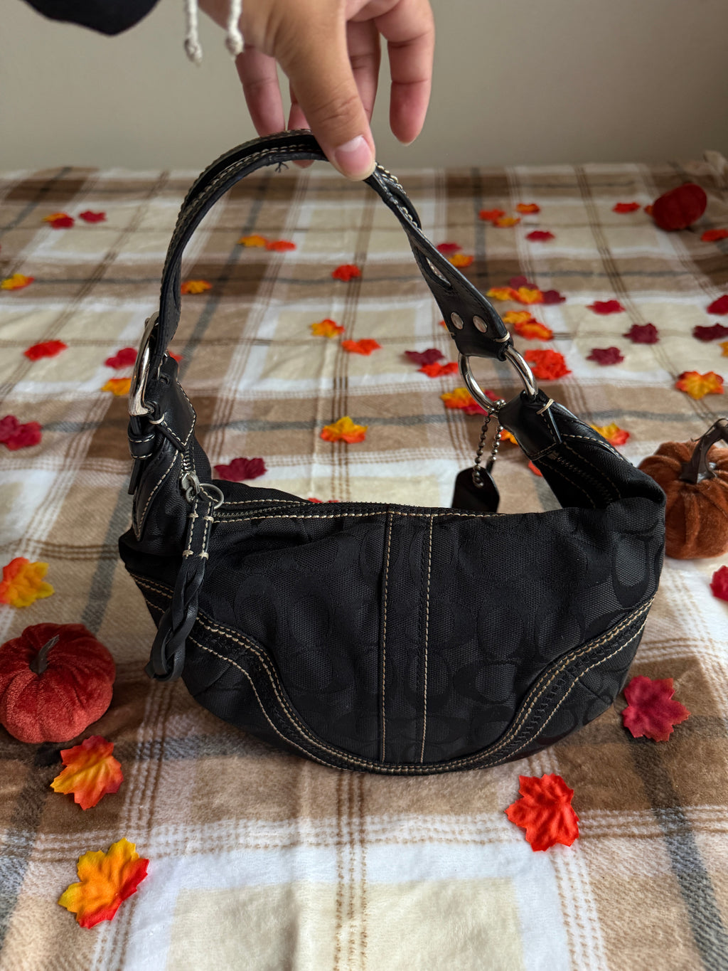 Coach Soho Hobo Signature Canvas Small Shoulder Bag