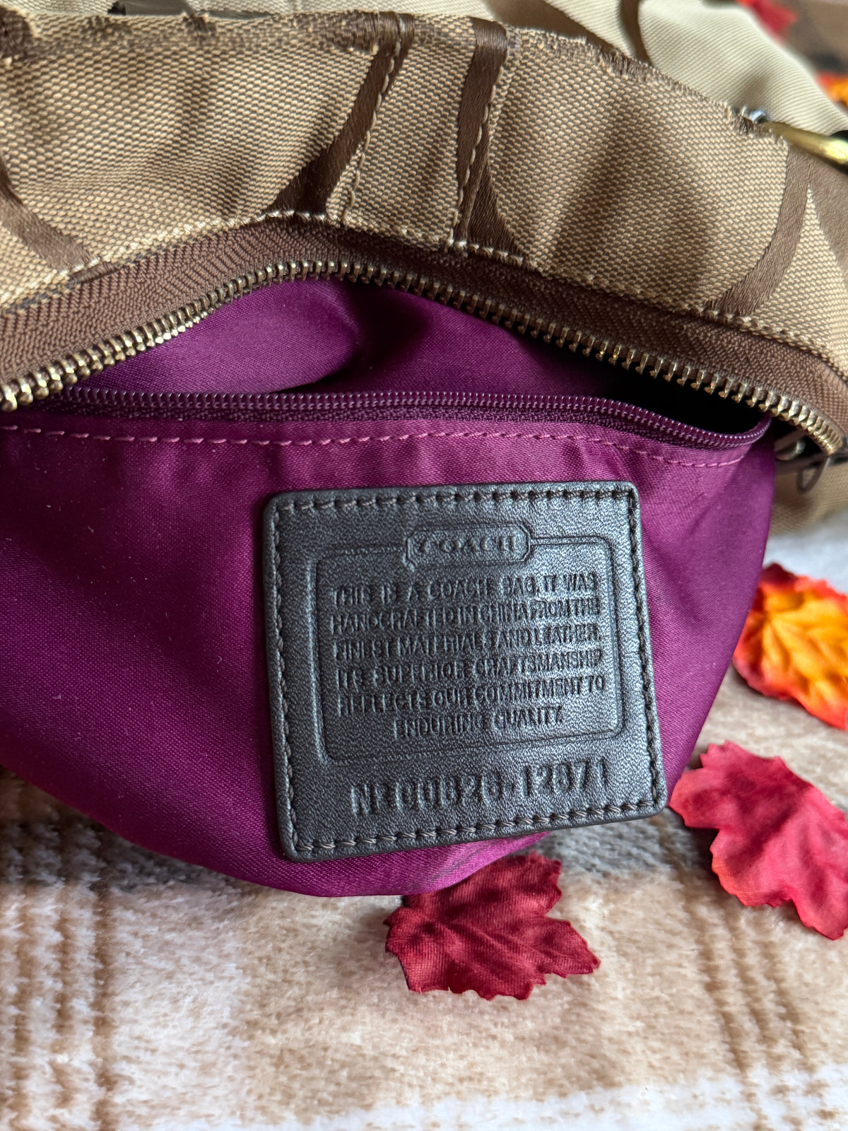 Coach Signature Canvas Carly Hobo Shoulder Bag