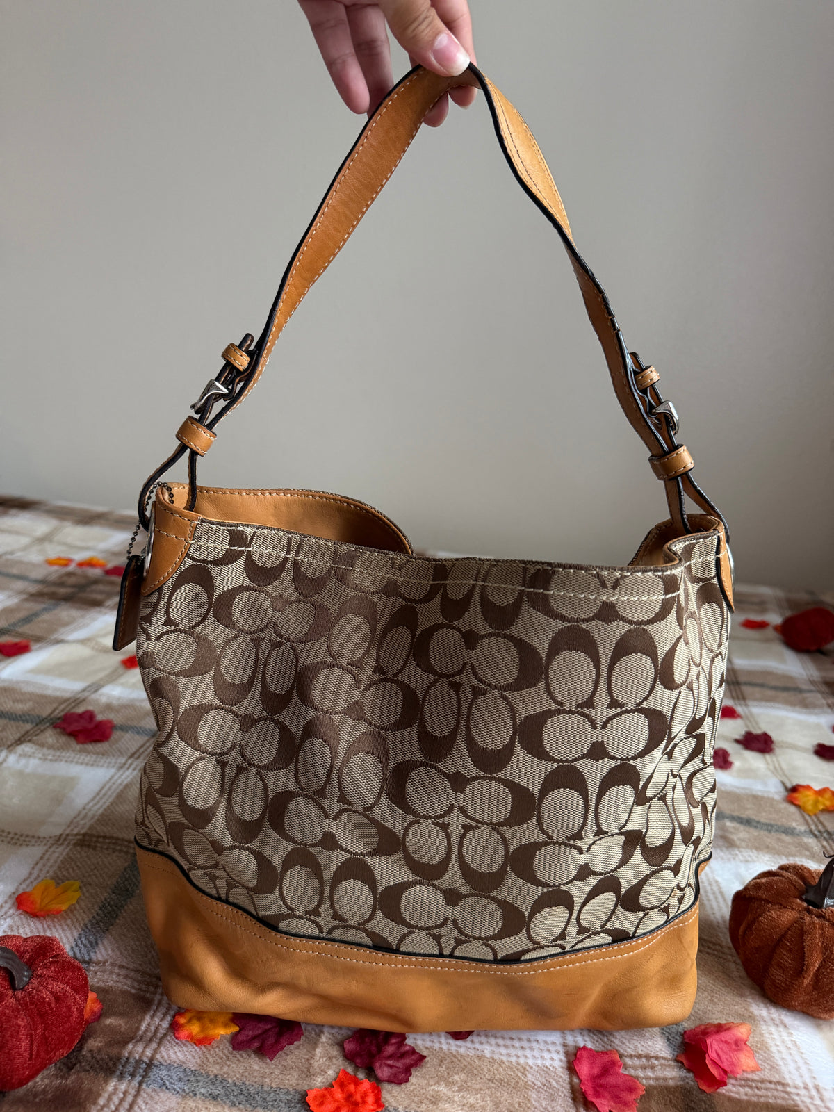 Coach Signature Canvas Hobo Bag