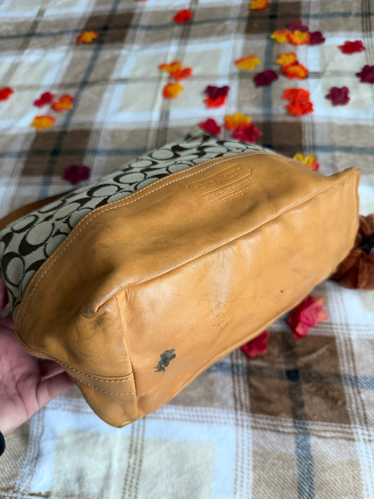 Coach Signature Canvas Hobo Bag