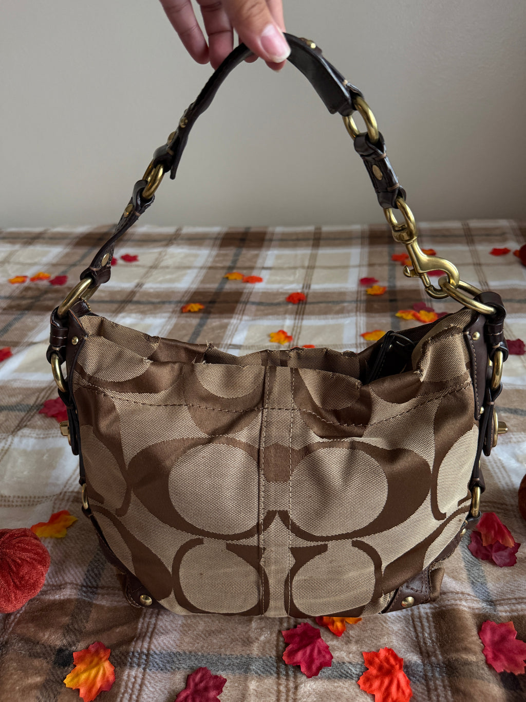 Coach Signature Canvas Carly Hobo Shoulder Bag