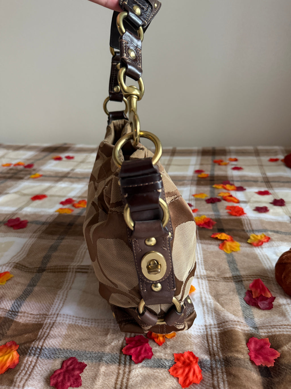 Coach Signature Canvas Carly Hobo Shoulder Bag