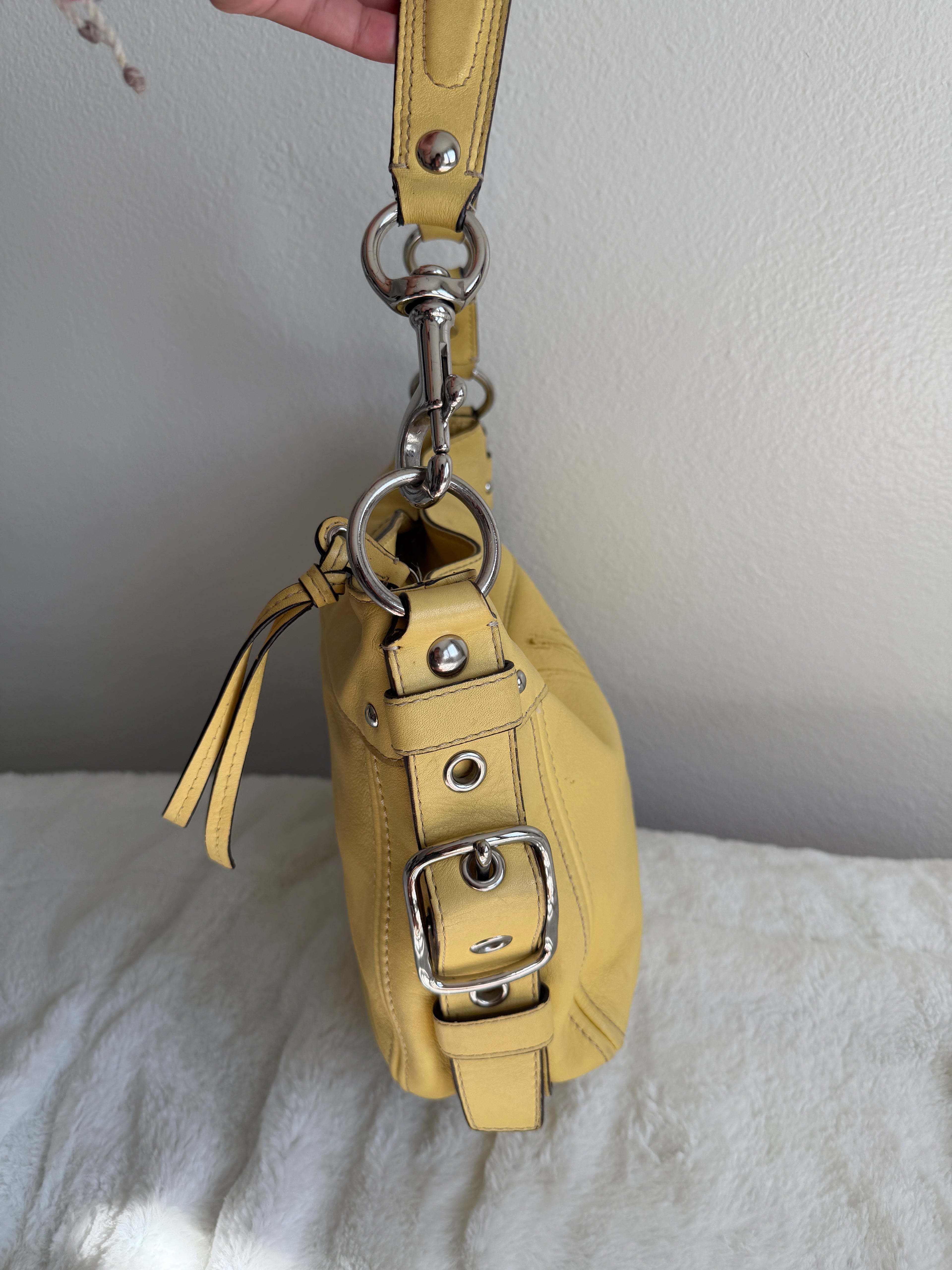 Coach Zoe Hobo Shoulder Bag