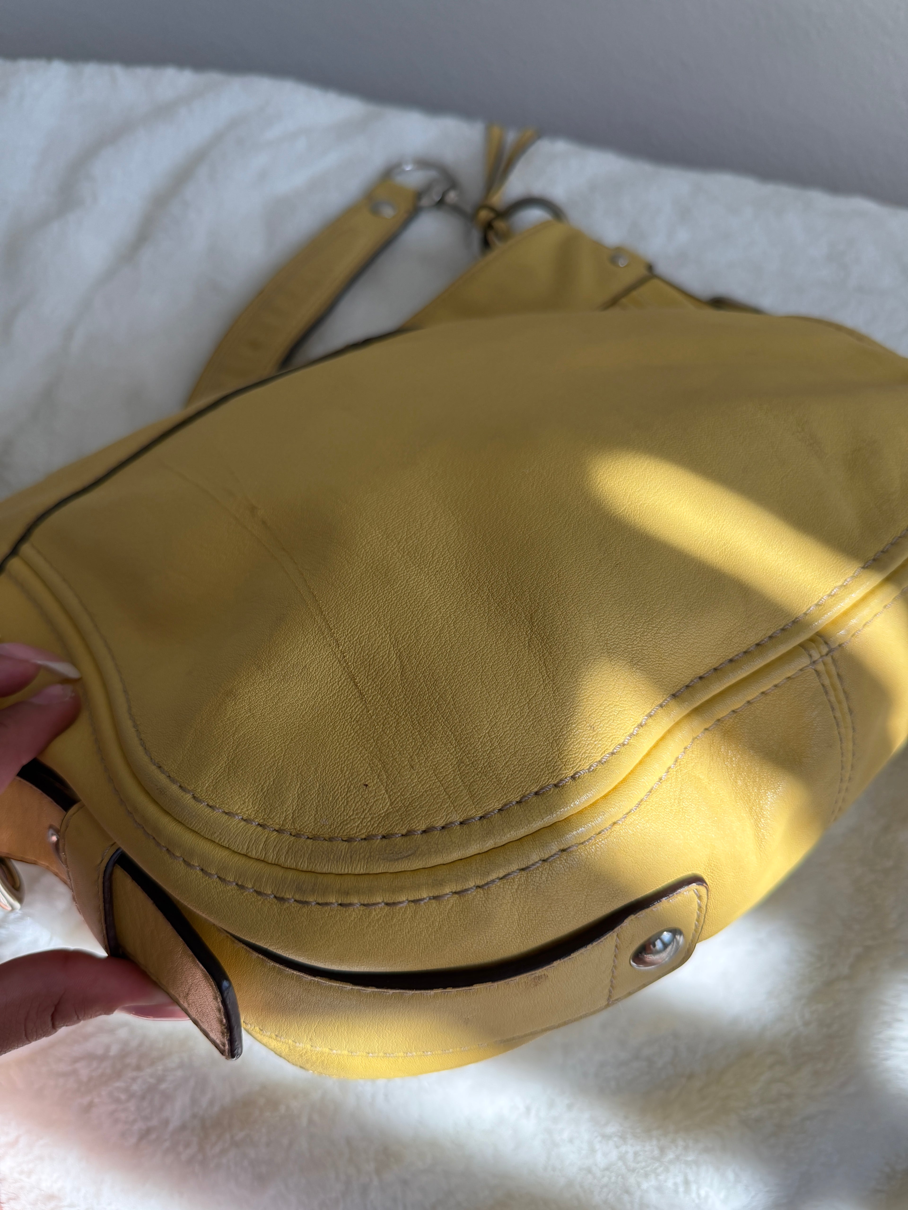 Coach Zoe Hobo Shoulder Bag
