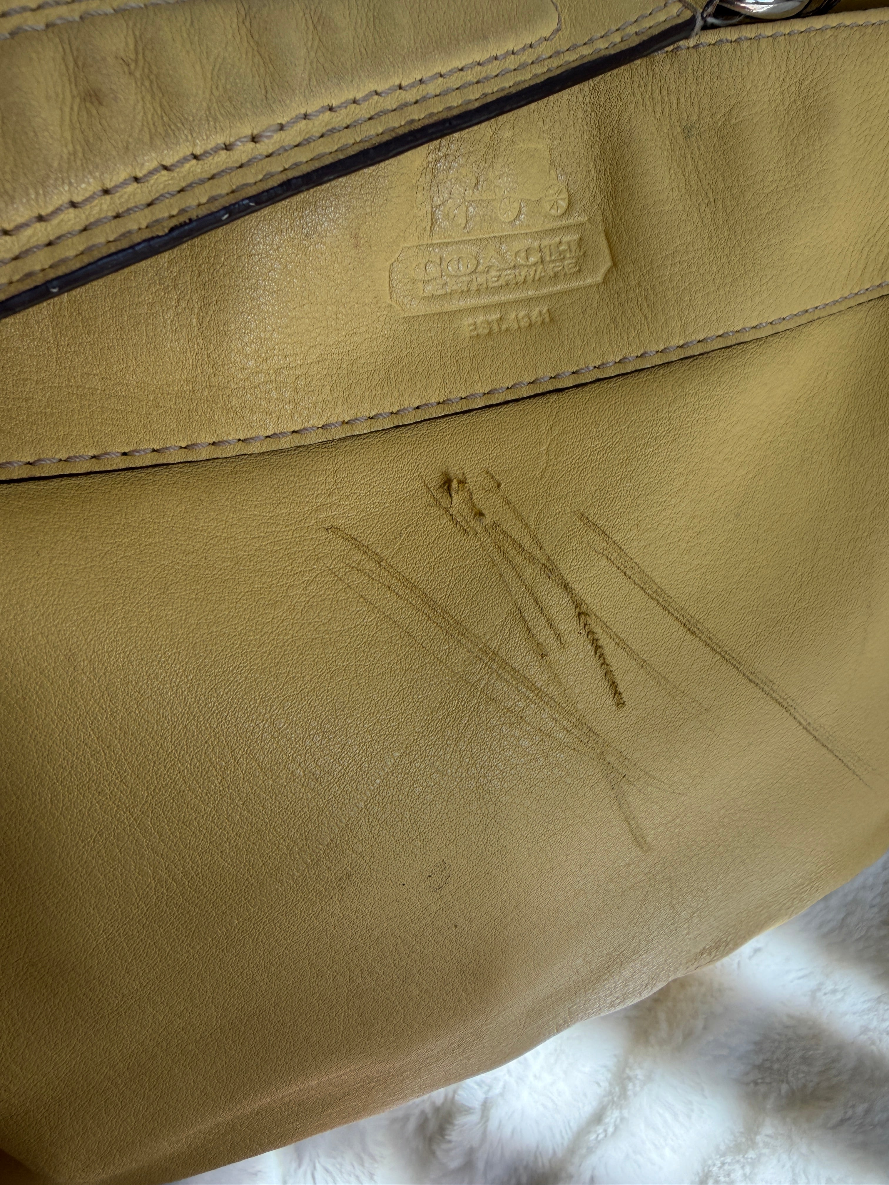 Coach Zoe Hobo Shoulder Bag